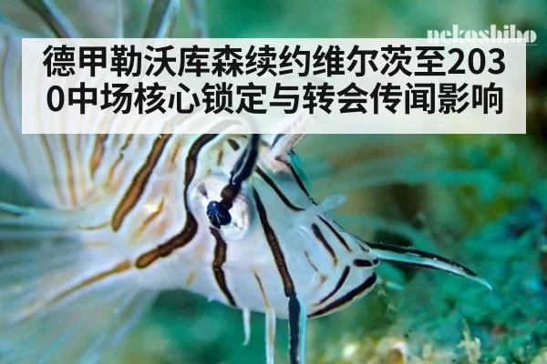 德甲勒沃库森续约维尔茨至2030中场核心锁定与转会传闻影响