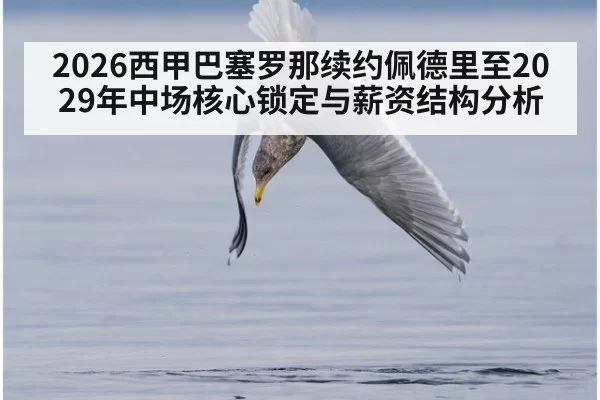 2026西甲巴塞罗那续约佩德里至2029年中场核心锁定与薪资结构分析